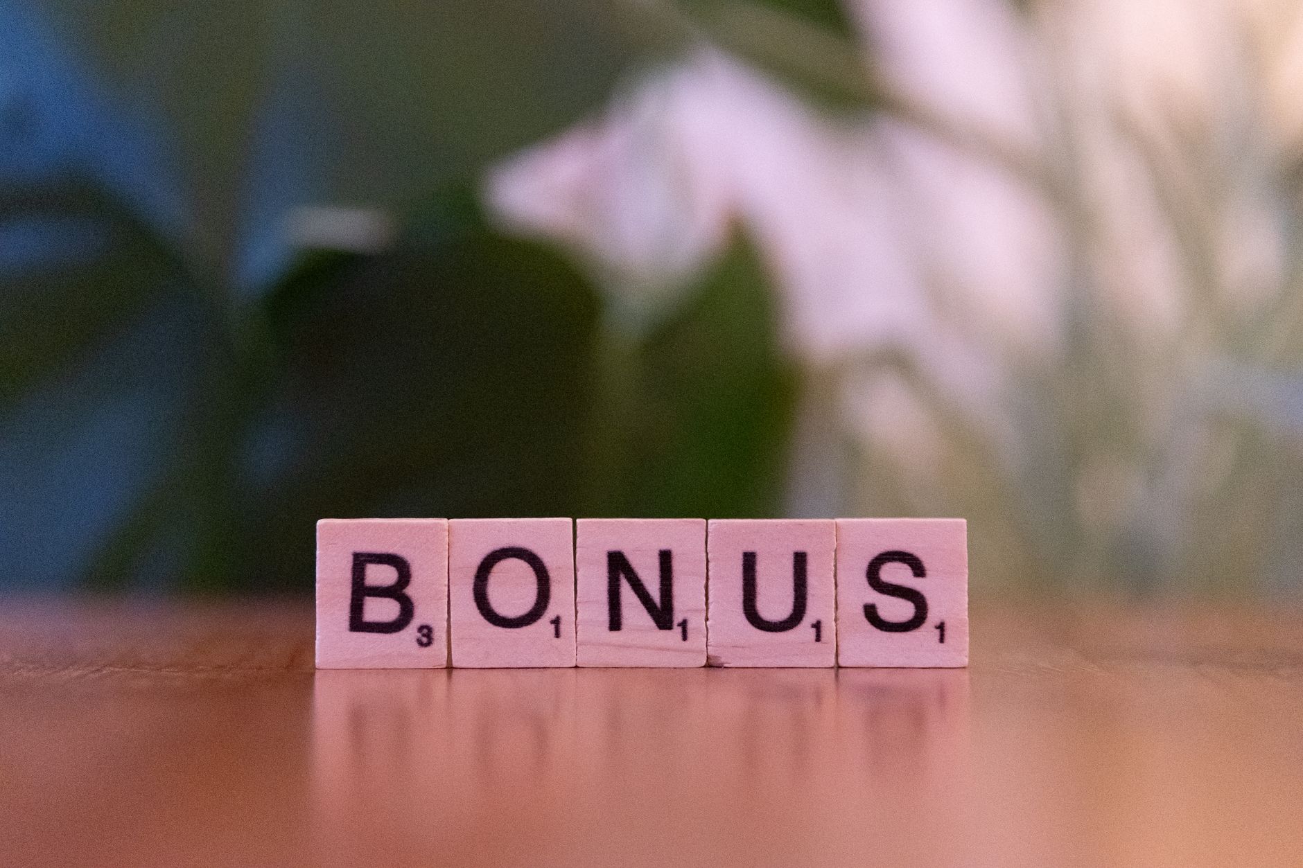 Canara Robeco interim dividend