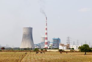 India Power insolvency results