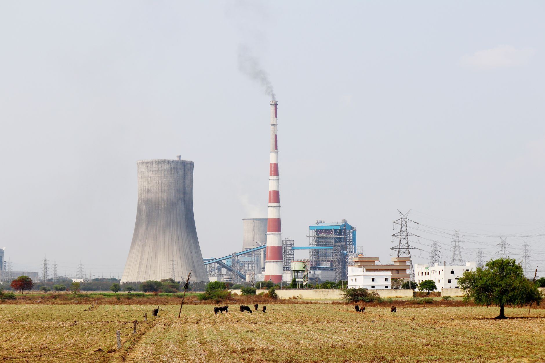 India Power insolvency results